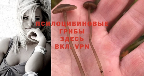 метамфетамин Богородск