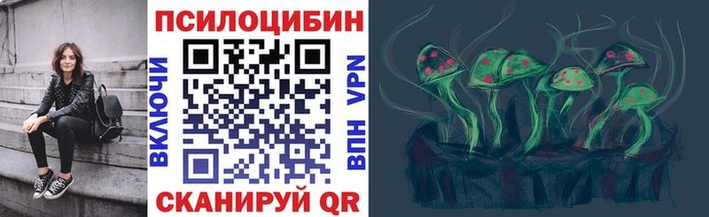 Галлюциногенные грибы GOLDEN TEACHER  цены наркотик  mega tor  Элиста 