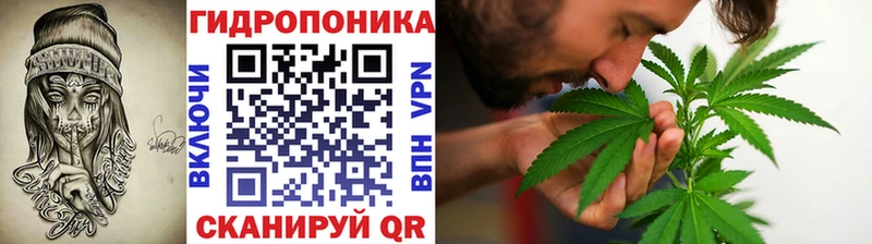 дарк нет телеграм  Элиста  Бошки марихуана LSD WEED  гидра ССЫЛКА 